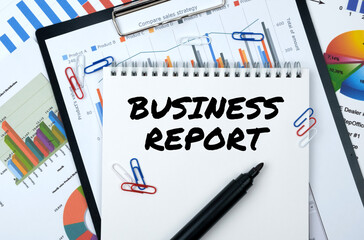 On the table are reports, charts, a notebook with the inscription - BUSINESS REPORT