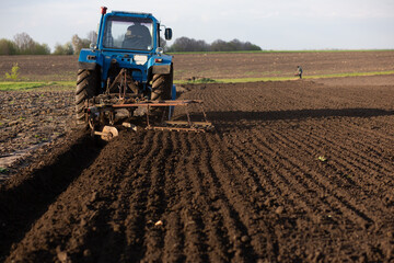 Obraz premium An old blue tractor plows the land. Place for your text