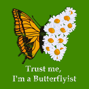 Butterfly, illustration of a Butterfly and daisies. Vector
