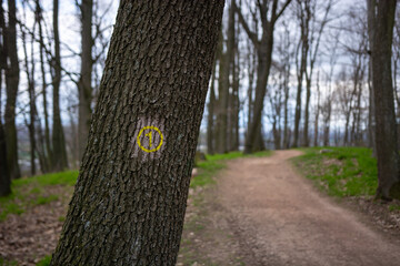 Hiking trail sign on a dark tree in the german forest at region Bergstrasse in Hessen, germany . Forest at daylight with path and trees in the background in the spring