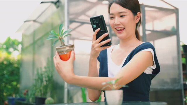 Young Asian women using smartphone photographing his plants post on social media. Smiling Asian woman new generation, have confident and lively is owner of start up business of sell tree online.