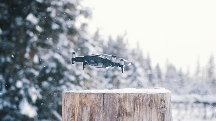 close up drone rising up from the tree stump on snowy winter day. High quality photo