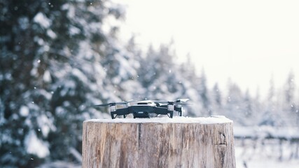 close up drone rising up from the tree stump on snowy winter day. High quality photo