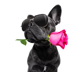 Deurstickers Grappige hond hond valentijns liefde hart moeders en vaders dag