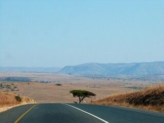 Savane, Afrique du Sud