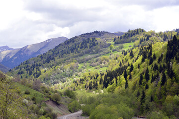 Naklejka na ściany i meble Spring in the Caucasus Mountains is a great time to travel