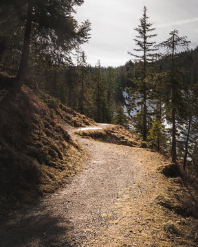 Geschwungener Gebirgspfad zur "Rotwand" beim "Spitzingsee" in warmen Licht.