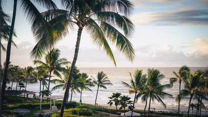 Fototapeta na wymiar Sunrise, Palm Trees, Kauai