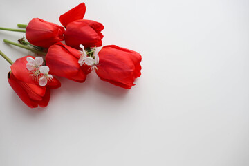 postcard layout. bouquet of tulips on white background and space for text 