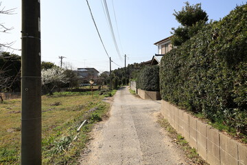 直線道路