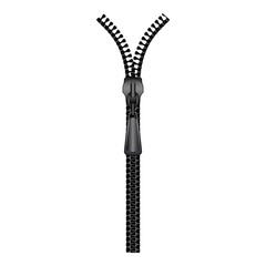 Naklejka premium Security zipper icon, cartoon style