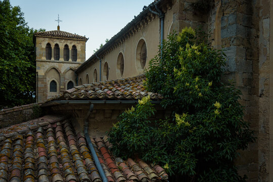 Tree with green leaves climbing the facade and roof of the Catholic Church of Saint Gimer in Carcassonne from the 19th century, France