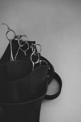 はさみ, scissor bag