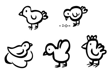 Vector Doodle Outline Hand Draw Sketch Chicken, isolated on white