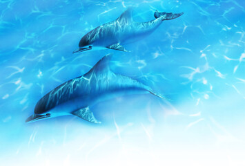 イルカ親子、暑中見舞い等へ、文字なし