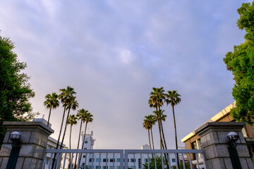 大学のキャンパスの正門。アンテイークな趣のある正門と椰子の木が迎えてくれる。