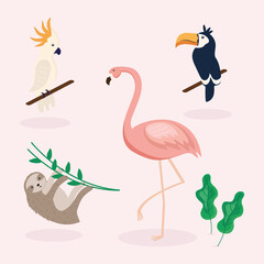 four tropical animals