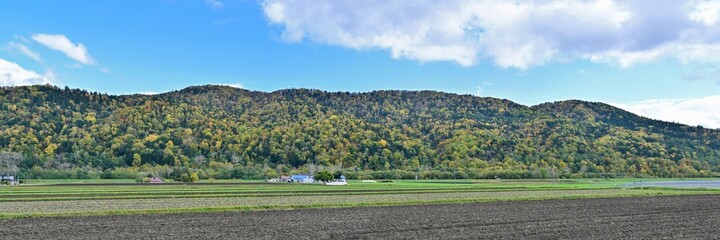 収穫を終えた広大な畑と黄葉のパノラマ情景＠北海道