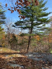Outdoors photos of pleasant scenes