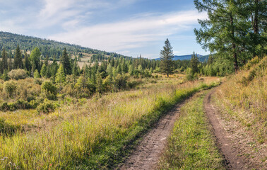 Fototapeta na wymiar View of countryside road, meadow and forest