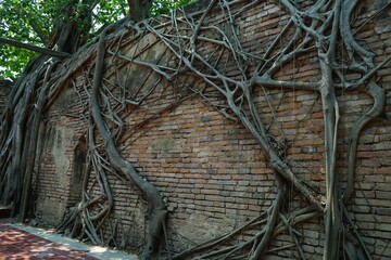 Old pagoda in thailand temple