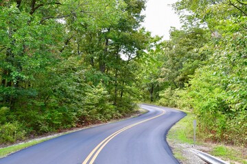 Fototapeta premium Forest Road in North East Texas near Cooper Lake