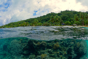 plage et coraux de bora bora - polynesie francaise