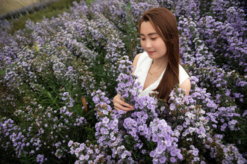 young attractive beautiful happy asian woman with white dress and soft touch purple aster margaret...
