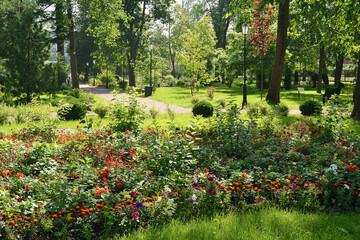 View of the flowerbed from different flowers