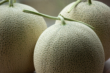 マスクメロン
