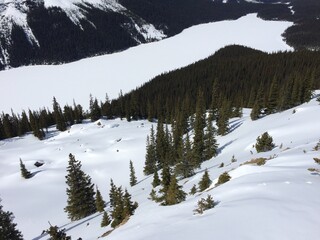 Spectacular view of the Icefield Parkway 