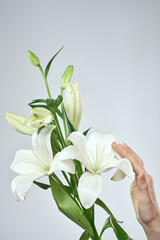 Obraz premium A bouquet of white flowers and female hands on a light background cropped view close-up
