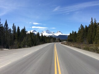 Fototapeta premium Spectacular view of the Icefield Parkway 