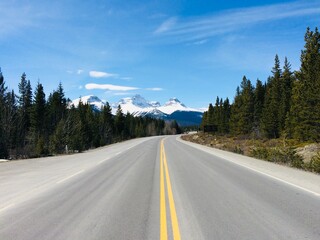 Spectacular view of the Icefield Parkway 