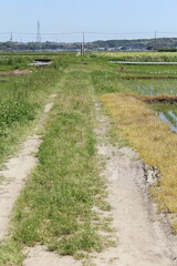 未舗装道路
