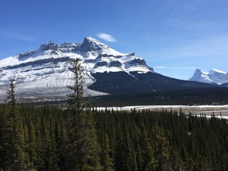 Spectacular view of the Icefield Parkway 