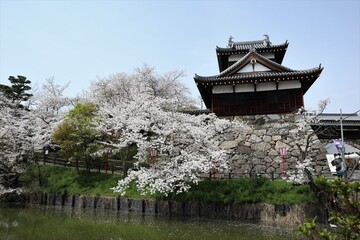 奈良県　大和郡山城