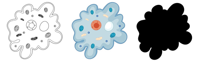 Set of Ameba in silhouette and doodle on white background