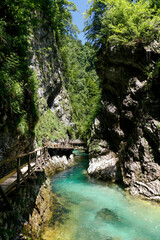 runway over river grove go to the vintgar waterfall, slovenia. River with turquoise water