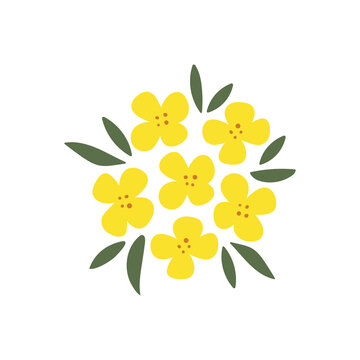 Hand-drawn yellow rapeseed flower. Blooming branch for postcards, logos. Flat style. Cartoon vector canola buds. All elements are isolated. Cute design for your project.