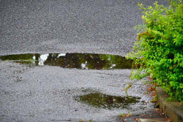 雨の日の水溜り