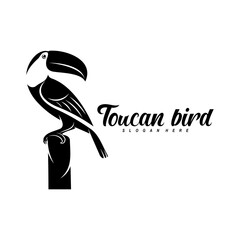 Toucan bird vector illustration design. Creative design © jon studio