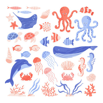 Set of sea and ocean animals, plants and seashells. Collection of illustrations with hand-drawn sea creatures. Vector cartoon drawing