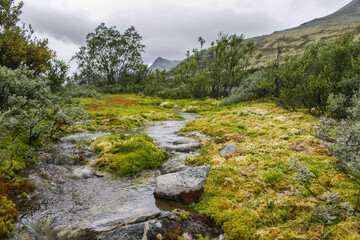 tundra landscaape in the natioonal park of Rondane, Norway