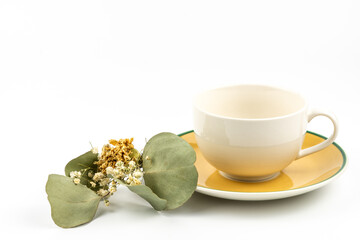 Empty coffee cup and dried bouquet flowers on white background.