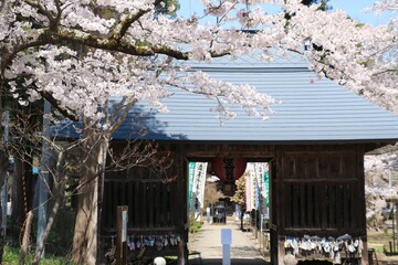 春の立木観音（福島県・会津坂下町）
