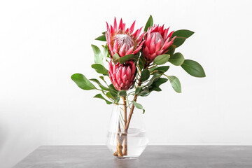 Vase with beautiful protea flowers on light background - obrazy, fototapety, plakaty