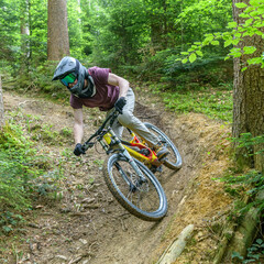 Fototapeta premium Mutiger Downhiller auf einem Wald-Trail 