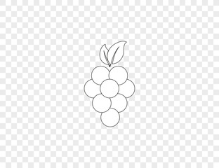 Fruit, grapes icon on transparent background. Vector illustration.