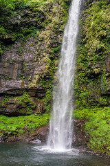 Obraz premium 落差60mの滝 (日本 - 岐阜 - 阿弥陀ヶ滝)